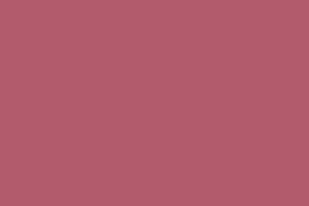 Style Guide text and image placeholder